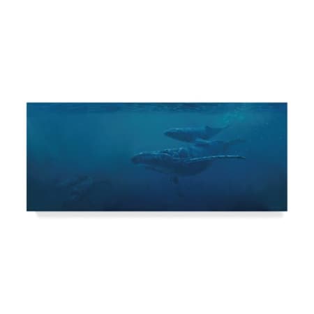 Michael Jackson 'Whales Under Water' Canvas Art,10x24